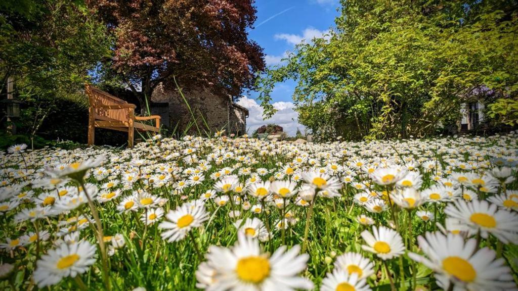 La Plaine De L'angelus Bed & Breakfast Chailly-en-Biere